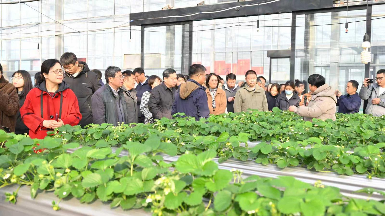 科技服务团队观摩现场(李渊 摄)