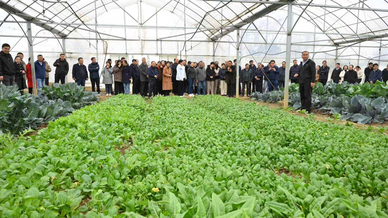 科技服务团队观摩现场(李渊 摄)