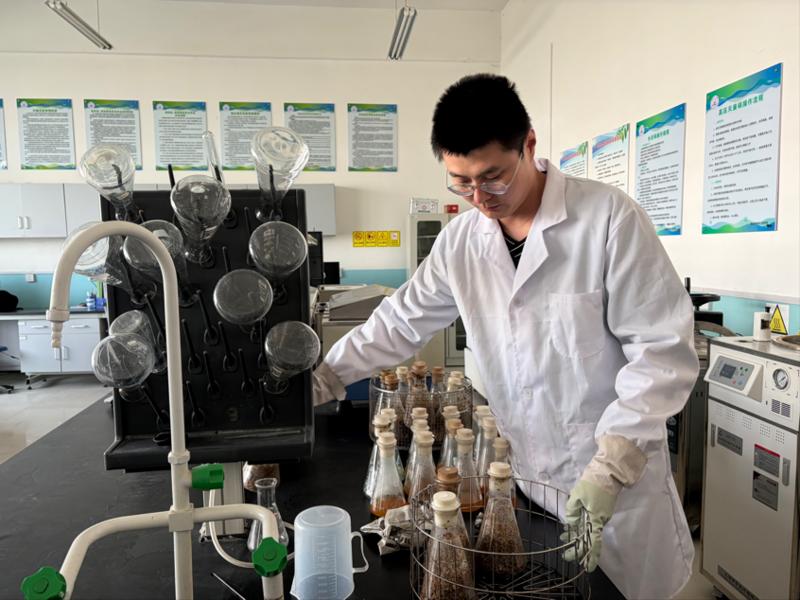 工作人员进行菌种实验(苏珊 摄)