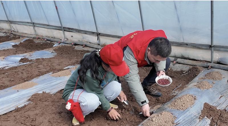 技术人员正在为村民进行技术指导(席兆平 摄)