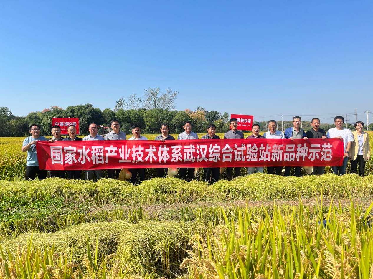 测产专家组在田间合影(项俊平 摄)