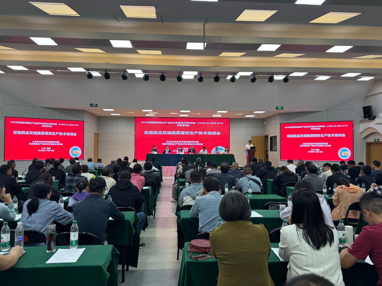 “设施西瓜双减提质增效生产技术”培训活动现场(刘广 摄)